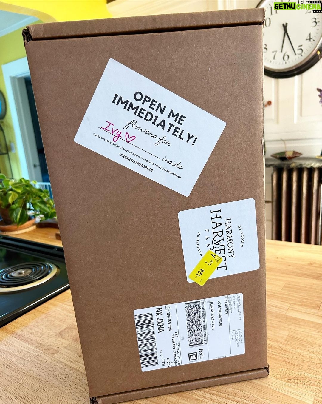 Ivy Winters Instagram - I was surprised with a delivery of the most beautiful peonies from my friends at @harmonyhrvst yesterday. These ladies know how to grow flowers! If you’re not familiar with them go check out their page and website. Either their funny memes or their beautiful bouquets will make ya smile. #harmonyharvest #peonies #friends #flowerdelivery #flowers #femalebuisness