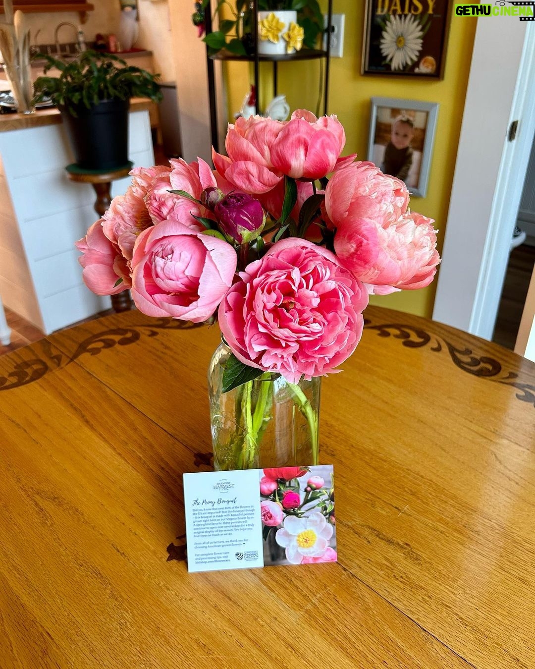Ivy Winters Instagram - I was surprised with a delivery of the most beautiful peonies from my friends at @harmonyhrvst yesterday. These ladies know how to grow flowers! If you’re not familiar with them go check out their page and website. Either their funny memes or their beautiful bouquets will make ya smile. #harmonyharvest #peonies #friends #flowerdelivery #flowers #femalebuisness