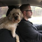 Ivy Winters Instagram - We had to say goodbye to our little girl suddenly yesterday morning. My heart is in so much pain. My dear sweet Charley, we love you forever. Thank you for bringing so much joy into our lives. Thank you for always being there when we needed a cuddle. Thank you for being the best friend anyone could ever ask for.