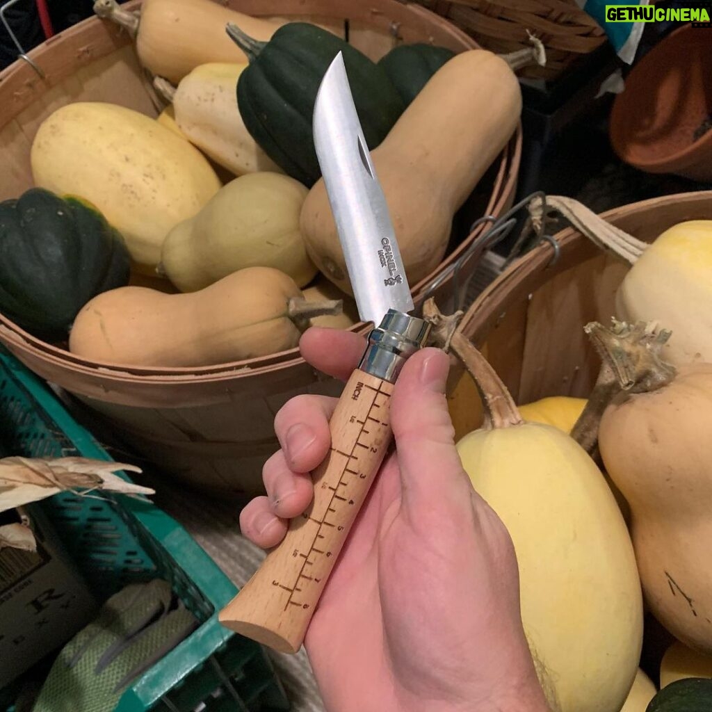 Ivy Winters Instagram - If you’re into growing your own food you must check out @growersandco Stunning magazine with quality QUALITY products!! So excited to get out into the garden and use my new harvesting knife. Thank you @growersandco for inspiring people to get dirty and go grow something! #GROWERS&CO #harvestknife #opinel #magazine #garden #food #quality #inspire