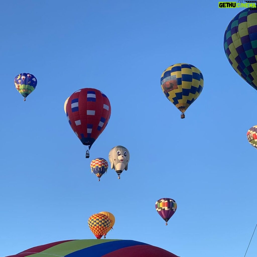 Ivy Winters Instagram - Fiesta is on!!!!!! What a magical experience so far! Please follow @cameronballoonsus to see our progress! For the first time ever we are building a balloon at fiesta! #bornatfiesta #fiesta #cameronballoons #cameronballoonsus #albaquerqueballoonfestival #hotairballoon #pilotschoice #Experiencedpilot