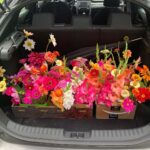 Ivy Winters Instagram - Ok so growing flowers is so much fun. I may need to do a little garden expanding next year so I can grow MORE! 😂🌸 My hubby and I made up 18 bouquets and had fun giving them away to campers at @creekridgecampground this weekend. It was such a joy making people happy with flowers. #flowers #dahlias #zinnias #cosmosdaisy #daisy #gladiolas #sunflower #homogrown #freshflowers #bouquet #spreadthelove