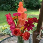 Ivy Winters Instagram - Ok so growing flowers is so much fun. I may need to do a little garden expanding next year so I can grow MORE! 😂🌸 My hubby and I made up 18 bouquets and had fun giving them away to campers at @creekridgecampground this weekend. It was such a joy making people happy with flowers. #flowers #dahlias #zinnias #cosmosdaisy #daisy #gladiolas #sunflower #homogrown #freshflowers #bouquet #spreadthelove