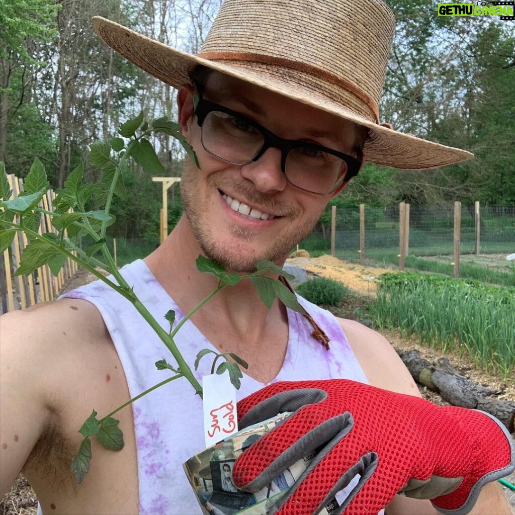 Ivy Winters Instagram - Planting stuff! One of my favorite methods for planting tomatoes is to trench them! The more roots the better the Mators! The video shows all my babies I started from seed (minus the carpet thyme).... all are getting acclimated to the outdoors. Everything going in the ground this week! Happy planting everyone! #homogrown #tomatoes #trenching #sungold #tyedye #queenacres #green #diy #growyourownfood #mybabies