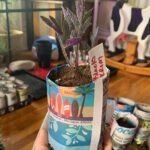 Ivy Winters Instagram - Garden seedling update! Things are growing! Finally finished potting up all my tomatoes. Total of 102 tomato plants! I love the deep shades of purple they produce. Also will have to plant more tulip bulbs this fall because I IS IN LOVE! Happy gardening all! #homogrown #plants #tulips #tomatoes #houseplants #potup #newspaperpot #greenhouse #garden