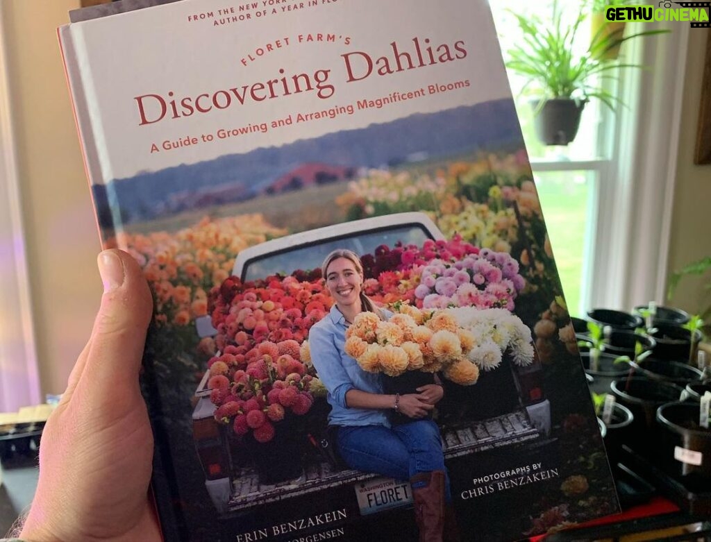 Ivy Winters Instagram - I can’t rave enough about this book. It is EVERYTHING! If you’re a dahlia lover or grower this book is the Bible. It also came with a packet of seeds straight out of @floretflower farm! I had a 99% germination rate!!! That’s amazing! For more info check out @floretflower ! #dahlia #homegrown #discoveringdahlias #floretflower #flower #garden