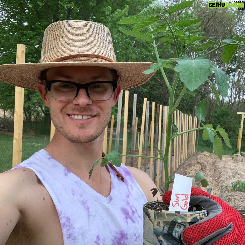 Ivy Winters Instagram - Planting stuff! One of my favorite methods for planting tomatoes is to trench them! The more roots the better the Mators! The video shows all my babies I started from seed (minus the carpet thyme).... all are getting acclimated to the outdoors. Everything going in the ground this week! Happy planting everyone! #homogrown #tomatoes #trenching #sungold #tyedye #queenacres #green #diy #growyourownfood #mybabies