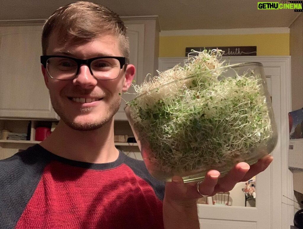 Ivy Winters Instagram - Happy Tuesday everyone! Wanted to share with you one of my favorite things to grow.......SPROUTS! Alfalfa and peas are my favorites.... any sprouters out there? What’s your fav?! #sprouts #homogrown #alfalfa #salad #greens #goodforyou #happyfood #naturespubes