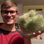 Ivy Winters Instagram – Happy Tuesday everyone! Wanted to share with you one of my favorite things to grow…….SPROUTS! Alfalfa and peas are my favorites…. any sprouters out there? What’s your fav?! #sprouts #homogrown #alfalfa #salad #greens #goodforyou #happyfood #naturespubes