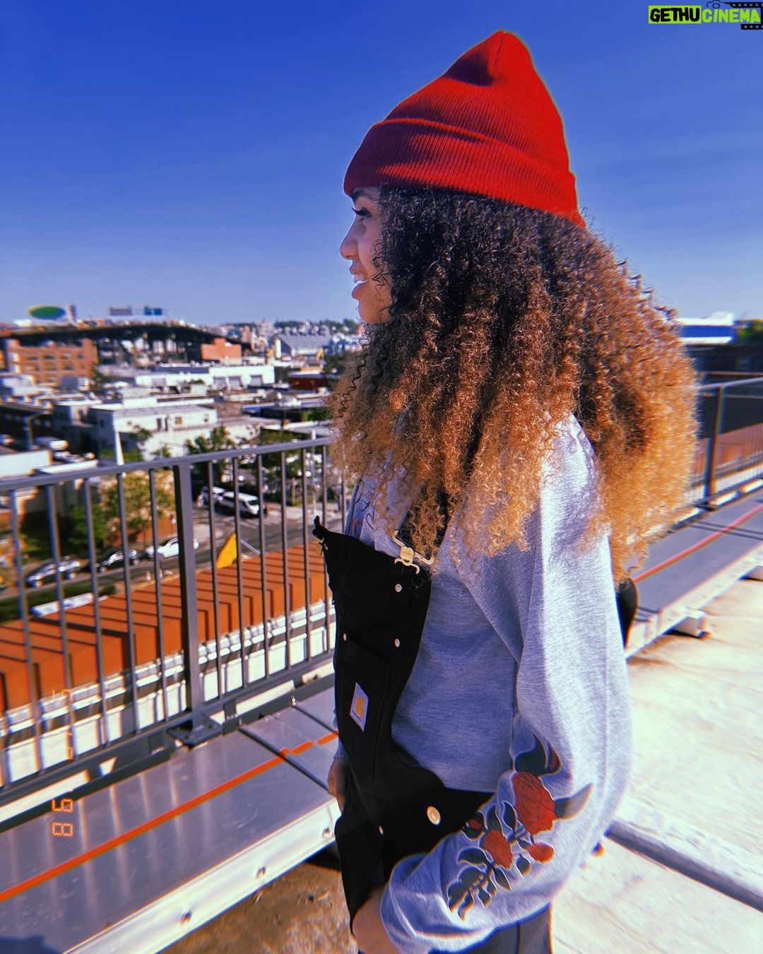 Izabela Rose Instagram - Live From Brooklyn!