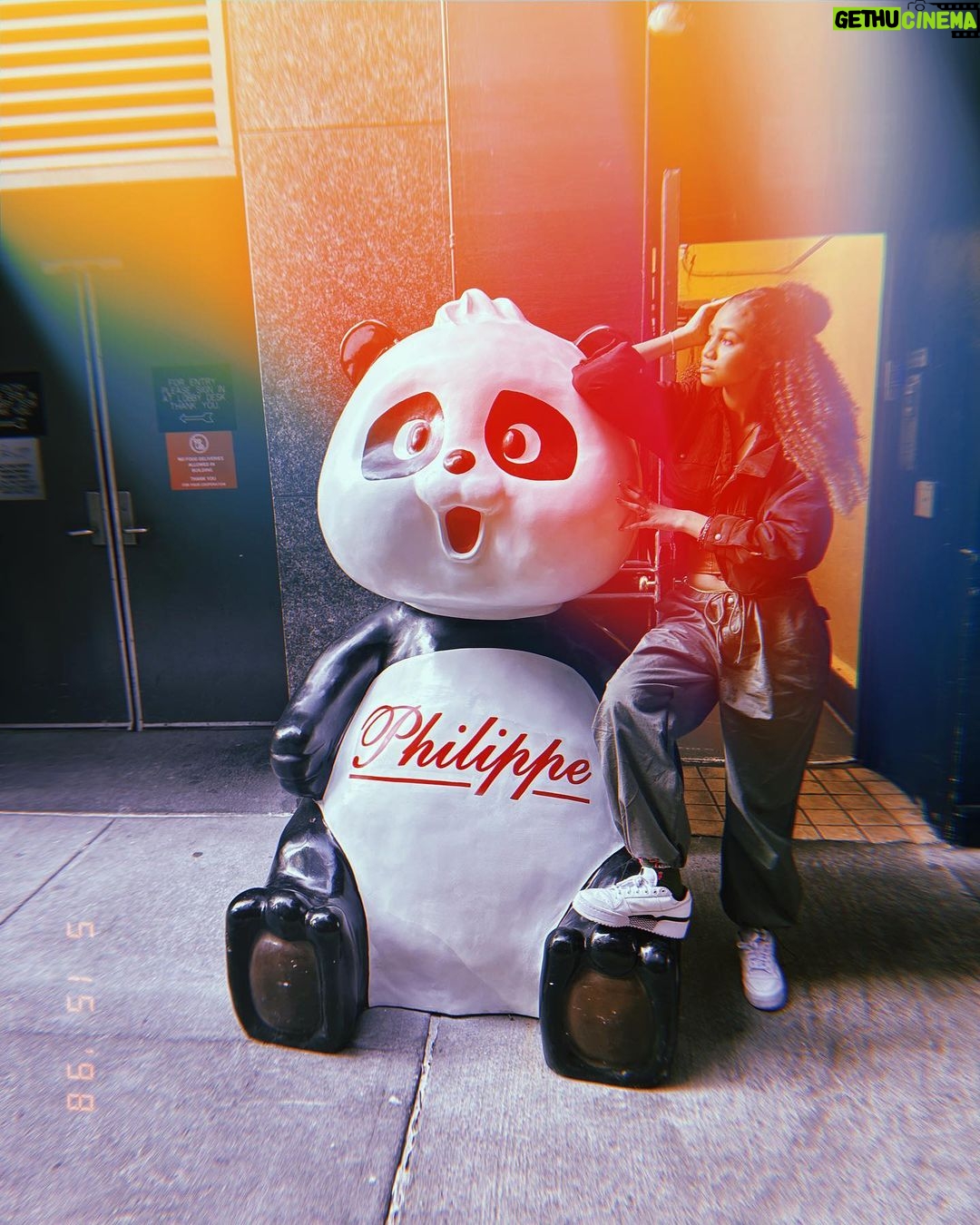 Izabela Rose Instagram - I was just sittin on a train mindin my business….