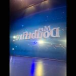 J. Harrison Ghee Instagram - Today we close for good, but the connections we have made will live on! @doubtfirebway has been a journey that has taught me so much, but mostly about love and how it can affect you! Thank you to every human who touched this special show and my life, I look forward to all that life has for all of us! “Wherever you go, whatever you do. A goodness will surely follow you, as long as there is love. Whatever you dream, whatever you choose. No matter the end, how can you lose? As long as there is love!” Mrs. Doubtfire on Broadway