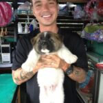 J Balvin Instagram – Enzo llegó a mi vida a ponerle color, fueron 14 años en los que me dio el privilegio de tenerlo cerca, de verme crecer, caer y subir.

Empezó siendo mi hijo y terminó siendo mi abuelo, ya sabemos que sus años cuentan diferente, por eso solo me dio sabiduría, me enseñó cómo aprender a guardar silencio y saber escoger mis batallas , la lealtad y la magestusidad de vivir al servicio, como siempre lo hizo conmigo, mi familia y mis amigos.

Ya no estás en este plano físico pero tu energía está con nosotros.

Gracias por cuidar de mi familia , de Valentina, en su embarazo como todo un guardián y de acompañarme en todos mis momentos de forma incondicional. 

Descansa en paz.

El cielo está de fiesta, estoy seguro! 
Rey Enzo
