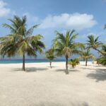 Jörn Schlönvoigt Instagram - #palmtrees #tb #maldives