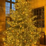 Jörn Schlönvoigt Instagram – It’s almost Christmas #christmastree