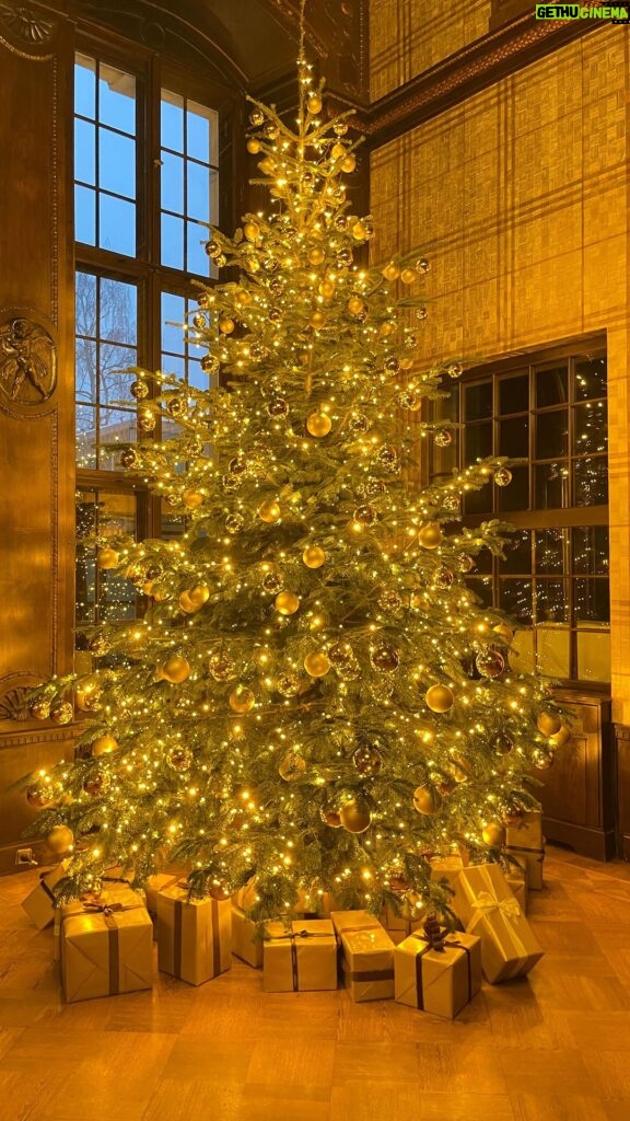 Jörn Schlönvoigt Instagram - It’s almost Christmas #christmastree
