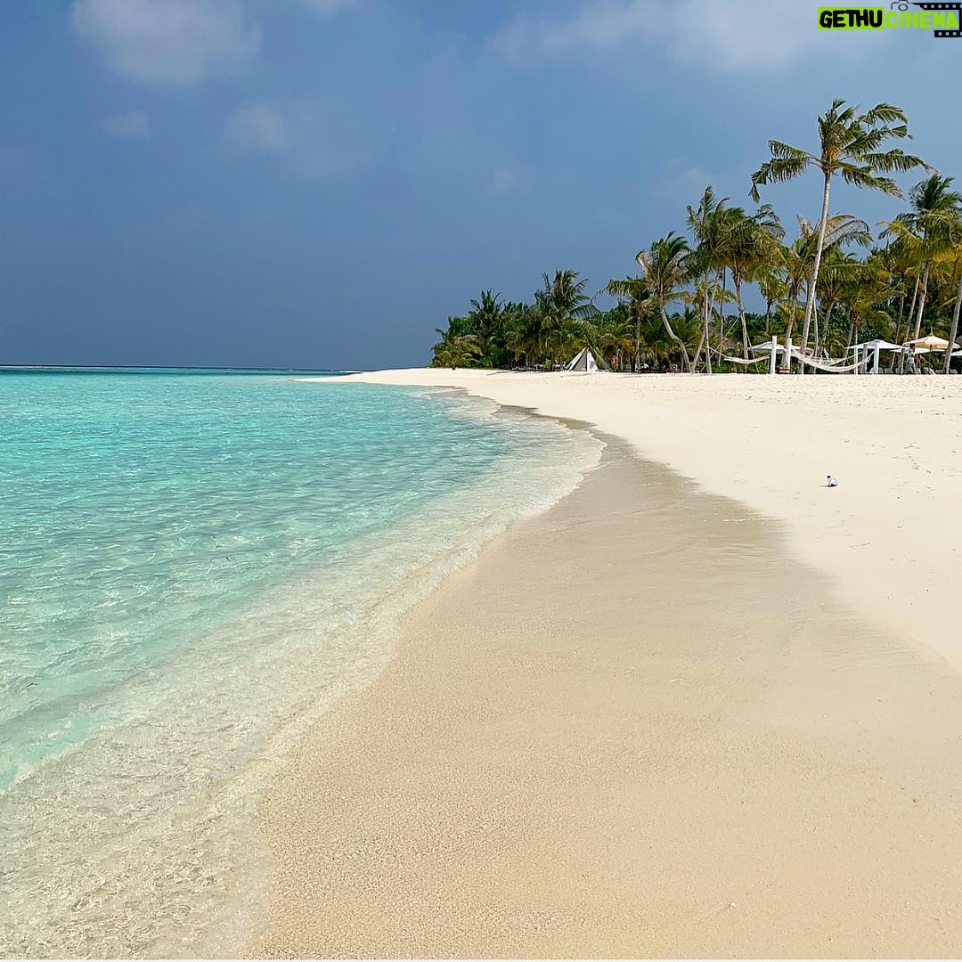 Jörn Schlönvoigt - 10.3K Likes - anzeige #maldives #honeymoon #tb #timelessmemories #unfetteredparadise #couplegoals markiere jemanden mit dem du hier schwimmen willst !