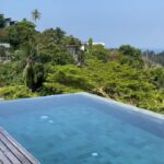 Jörn Schlönvoigt Instagram – Paradise – a place of extreme beauty, delight or happiness #thailand #kohphangan #travel #pool #bay #view Koh Phangan  Thailand