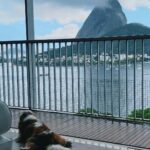 Júlia Gomes Instagram – Um look lindo para uma vista linda! Estou completamente apaixonada pela nova coleção da @littbrasil 💚 Um conjunto mais lindo que o outro! 🌟 Rio de Janeiro, Rio de Janeiro