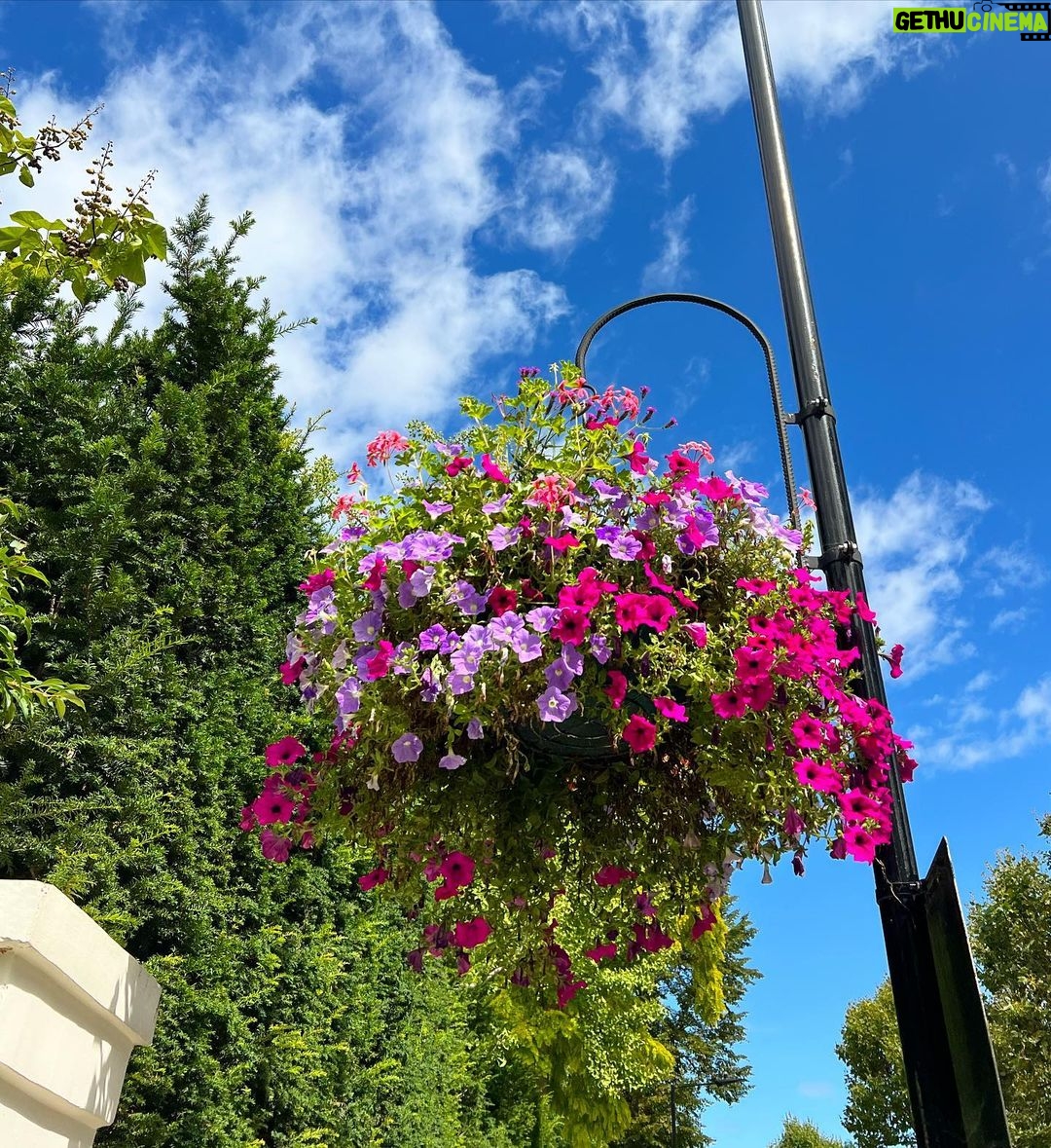 Júlia Mendes Instagram - Um dia em Little Venice! Um bairro cinematográfico. Como não se apaixonar? ✨🌺🛶💖