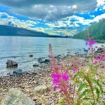 Júlia Mendes Instagram - Eu sei que a natureza é algo inexplicável mas hoje ela passou dos limites! Que dia inesquecível! 😍🦖🙌🏼✨obs: na última foto, biólogos dirão que é montagem mas eu digo que foi sorte! Kkk Loch Ness, Highlands, Scotland!!