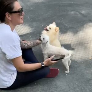 JWoww Instagram - For 17 incredible years, I had the privilege of sharing my life with Bella. At 21,  I moved to New York City for college, but the fear of being alone overwhelmed me. But then, I found Bella, and in that moment, I knew she needed me as much as I needed her. Through the highs and lows, Bella remained by my side, providing comfort and support... and the occasional bite to anyone who got close LOL 🩷 Bella, you departed this world with utmost grace and dignity, leaving behind memories and countless moments of joy. My love for you knows no bounds, and as I navigate this broken heart, I can't help but wonder if it will ever be whole again. You, my precious Bella, were my first baby, forever etched in my heart with love and adoration. 💔