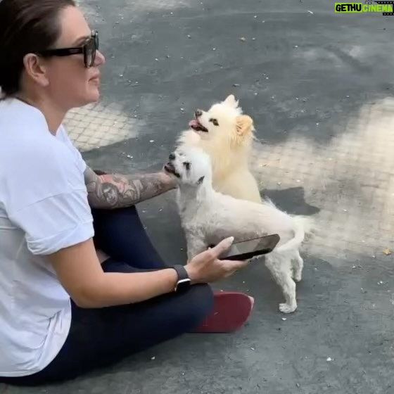 JWoww - 270.6K Likes - For 17 incredible years, I had the privilege of sharing my life with Bella. At 21, I moved to New York City for college, but the fear of being alone overwhelmed me. But then, I found Bella, and in that moment, I knew she needed me as much as I needed her. Through the highs and lows, Bella remained by my side, providing comfort and support... and the occasional bite to anyone who got close LOL 🩷 Bella, you departed this world with utmost grace and dignity, leaving behind memories and countless moments of joy. My love for you knows no bounds, and as I navigate this broken heart, I can't help but wonder if it will ever be whole again. You, my precious Bella, were my first baby, forever etched in my heart with love and adoration. 💔