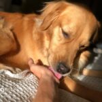 Jace Norman Instagram - Been spending allot of time reflecting. Finding new perspectives. New ideas. Love my dog