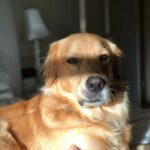 Jace Norman Instagram - Been spending allot of time reflecting. Finding new perspectives. New ideas. Love my dog