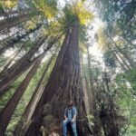 Jack Broadbent Instagram - What can I say! Absolutely breathtaking! #redwoods #california Muir Woods National Monument