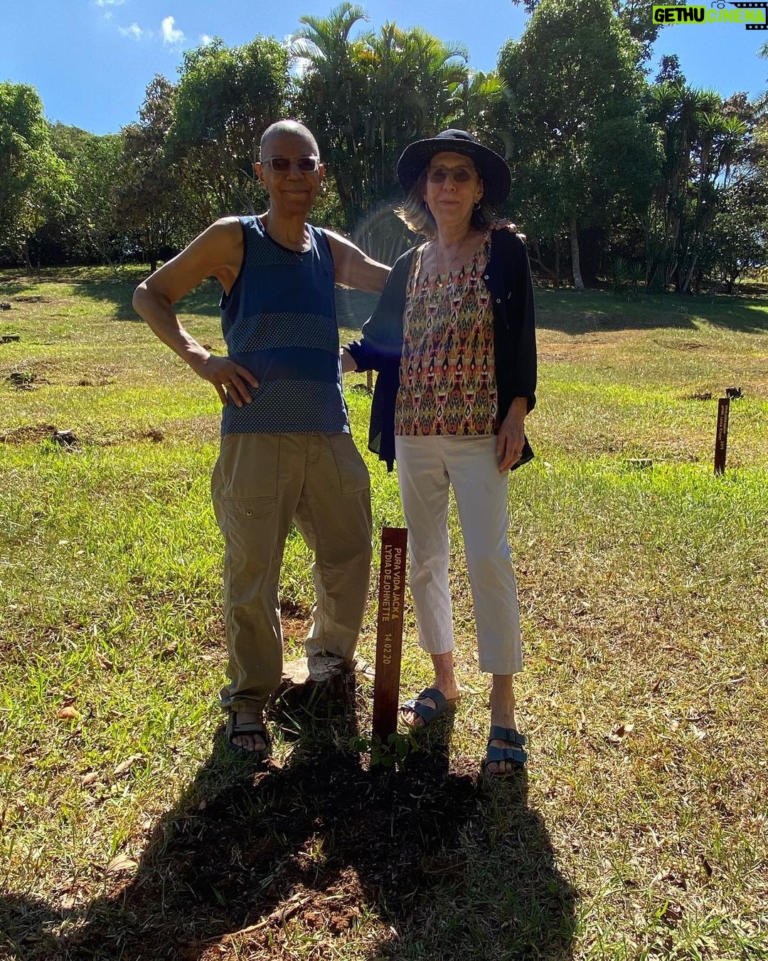 Jack DeJohnette - 1.5K Likes - Planting trees in beautiful Costa Rica
— Jack