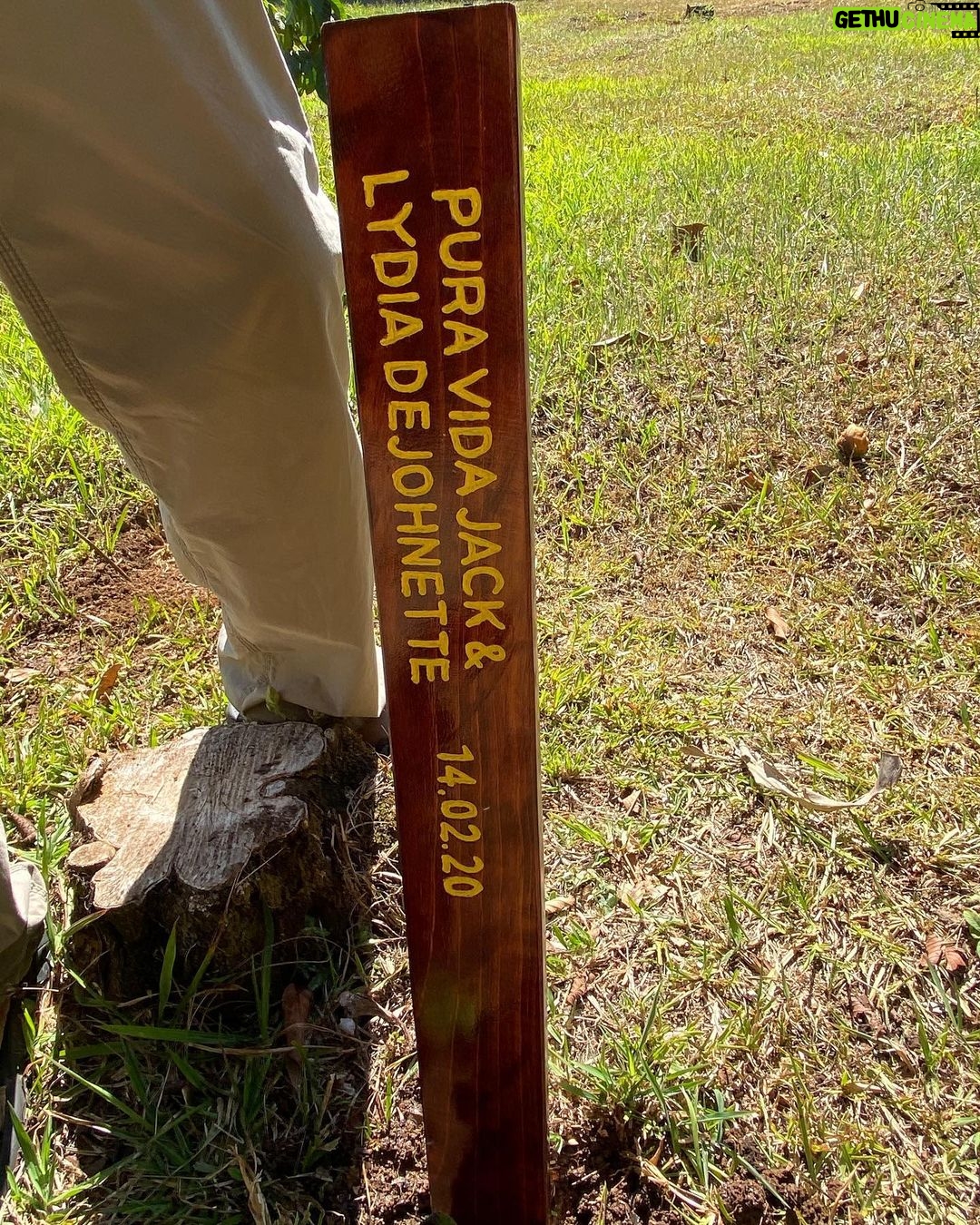 Jack DeJohnette - 1.5K Likes - Planting trees in beautiful Costa Rica
— Jack