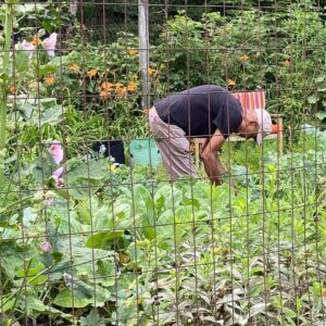 Jack DeJohnette Instagram - Full Disclosure,
My wife Lydia is the gardener. I help with watering and weeding but I love being in it and love helping. Foods great too!

—Jack