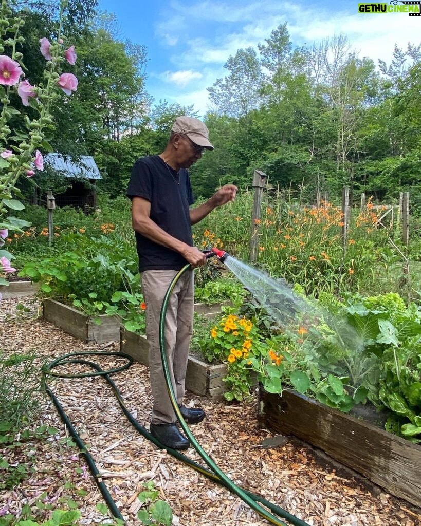 Jack DeJohnette Instagram - One of the things I love about being home and especially in the summer is being in our garden, and I have much gratitude for the gifts that we receive from it, and good cooking!