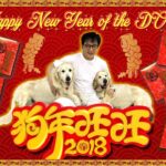 Jackie Chan Instagram - Happy New Year of the Dog! Check out my website for your chance to win 1 of 200 lucky red pockets!