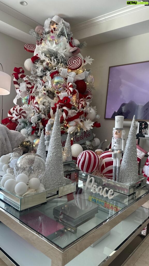 Jacqueline Bracamontes Instagram - Llegó la Navidad a casa de los Fuentes Bracamontes!!! (Siii madrugamos siempre porque AMAMOS la Navidad y queremos que nos dure mucho el espíritu de estas fechas!!!) 🎄🎄🎄@mft07 Todo el crédito para mi querido @galoguilmarstudio ♥️ Te quedó hermoso!!!