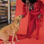 Jada Shada Hudson Instagram - Get your Pet Ready for Pride with @globalpetfoods ……….. . . Meet my friends or should I say my sisters @devinedarlin @sofondato @thequeenpriyanka 🤣…… #globalpetfoods #loveislove #pride2022 #dogsofinstagram