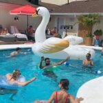 Jada Shada Hudson Instagram - 🦢🦢🦢🦢Did I Miss the Swan?🦢🦢🦢 💦💦💦💦💦💦OR💦💦💦💦💦💦💦💦 🌊🌊🌊I wanted to Really Go In? 🌊🌊🌊🌊 . .................SWIPE THERES MORE.................... . 💦💦💦💦Tell Me What You Guys Think 🤣 🏳️‍🌈🏳️‍🌈🏳️‍🌈Happy Pride @thenorthridgeinn🏳️‍🌈🏳️‍🌈 . . Also why would @baby_bel_bel put that song on my video🤣🤣 I have watched it like 50 times and I am still screaming 🤣🤣🤣🤣 Northridge Inn & Resort