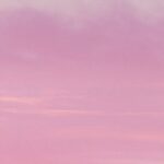 Jaden Smith Instagram - “Young Love Dies Young” FALLEN ELECTRIC. This Sequence Is A Dream And Is Not Apart Of The SYRE Timeline. @lottavision