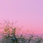 Jaden Smith Instagram - SYRE Lost Himself In The Sunset He May Never Find His Way Home.