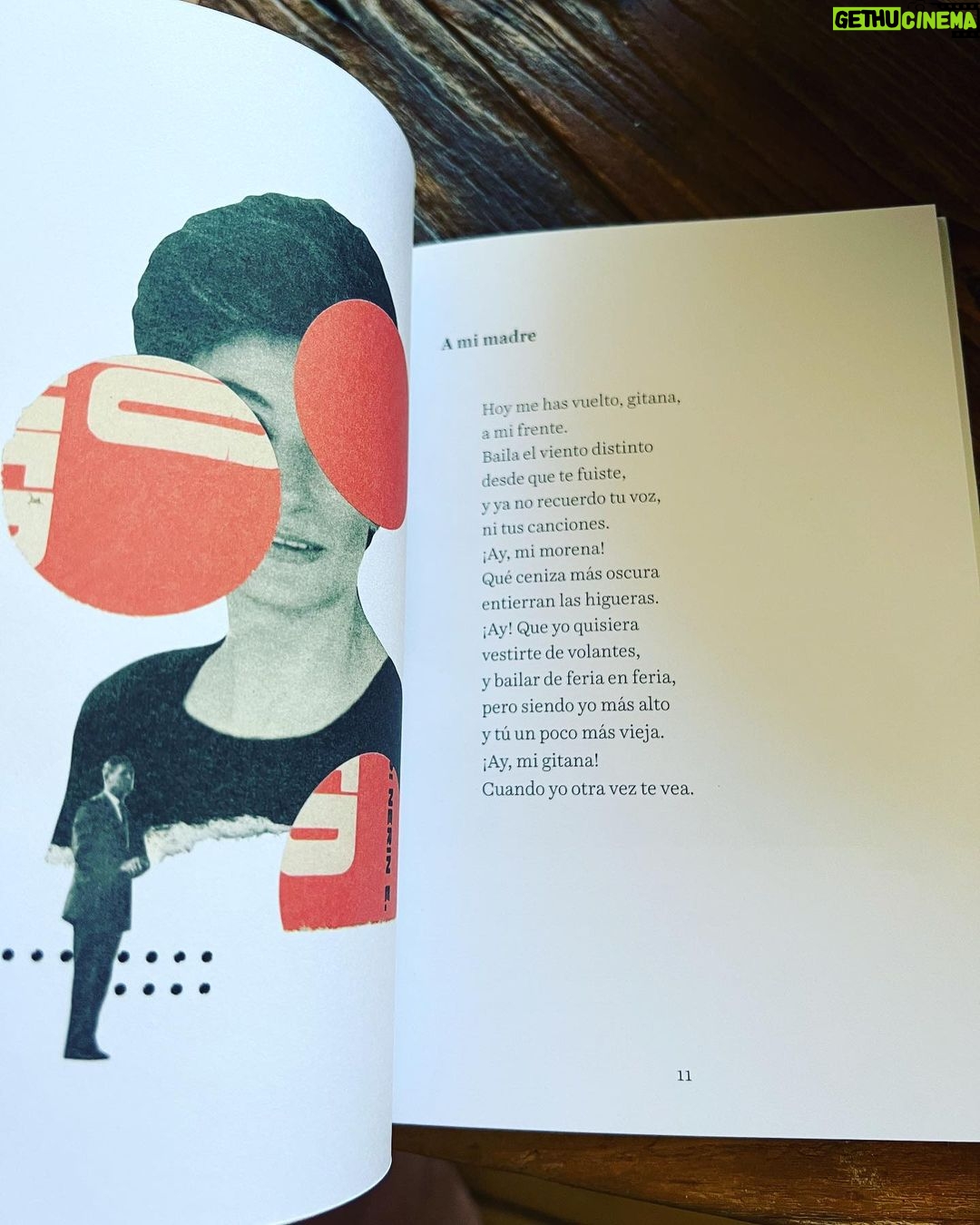 Jaime Lorente Instagram - Ya por fin de vuelta a casa me ha nacido la primavera en pleno salón. @pascuallaborda es mi hermano, pero no recomiendo esta belleza de libro por ello, salió hace un tiempo y hasta que no he empezado a devorarlo y me ha atravesado no lo he hecho. Cada día siento más admiración por ti hermano. Gracias por dejarme ser parte de este algo infinito. Te quiero