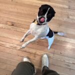 Jake Austin Walker Instagram - Can I ask you a personal question?