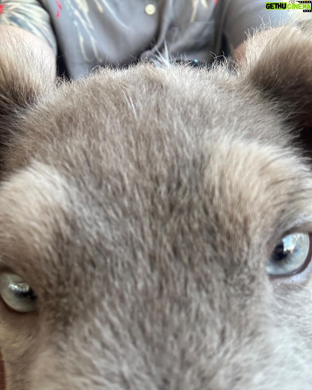 Jake Austin Walker Instagram - Pupdate ☀️