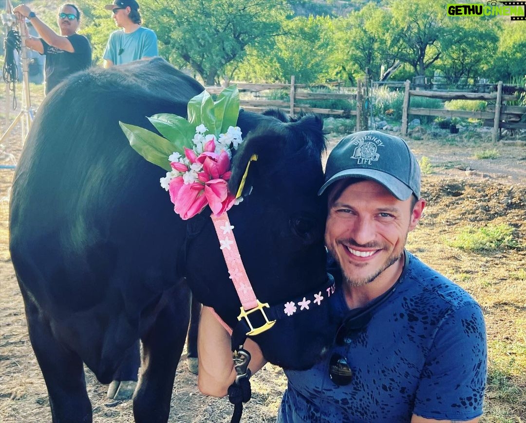 Jake Helgren Instagram - So this is Tulip, another gal I fell in love with in Arizona. What a movie star in the making. 🤩Scroll => for full snuggle sesh. . . . #directorlife🎬🎥 #ninthhousefilms #western #christmasmovies Patagonia, Arizona
