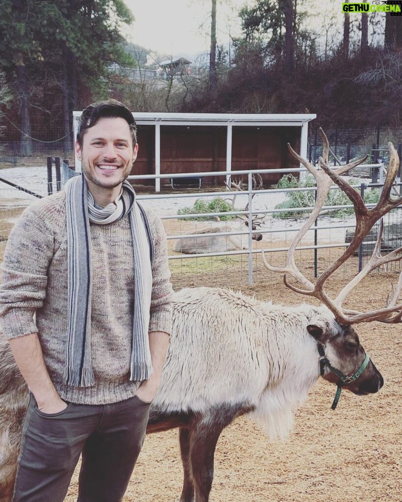 Jake Helgren Instagram - …with Jake and his sleigh, of eight tiny reindeer. 🥰🥰🥰 . . #reindeerfarm #setlife #directorlife🎬🎥 #christmasmovies #ninthhousefilms