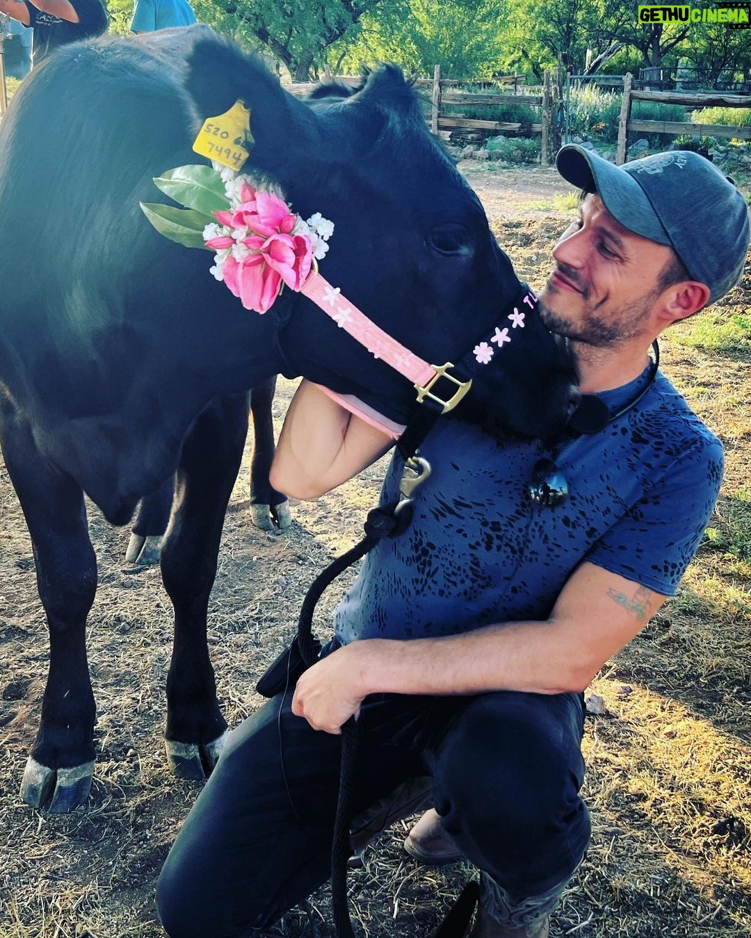 Jake Helgren Instagram - So this is Tulip, another gal I fell in love with in Arizona. What a movie star in the making. 🤩Scroll => for full snuggle sesh. . . . #directorlife🎬🎥 #ninthhousefilms #western #christmasmovies Patagonia, Arizona