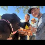 Jake Helgren Instagram - The strikes were admittedly a tough time the second half of this year, but at least we finished out our production year with a bang. I love this beautiful cast. I love our insanely talented crew. Our little film family. Check out A Cowboy Christmas Romance this Saturday at 8PM as part of @itsawonderfullifetime on @lifetimetv 🤠🌲♥️ . . . #ninthhousefilms #lifetimetv #lifetimechristmasmovies #directorlife🎬🎥 #itsawonderfullifetime Tubac, Arizona