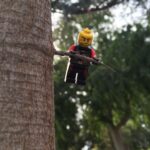 James Corden Instagram – Saw this guy hanging out today!