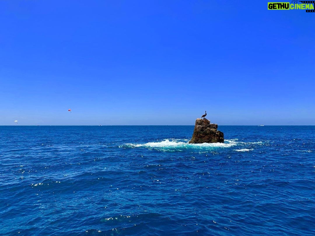 James Michael Tyler - 563 Likes - #vacation #mexico #photography