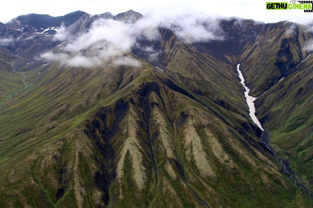James Michael Tyler Instagram - #focus #photography #alaska @flydenaliinc #denalinationalparkandpreserve
